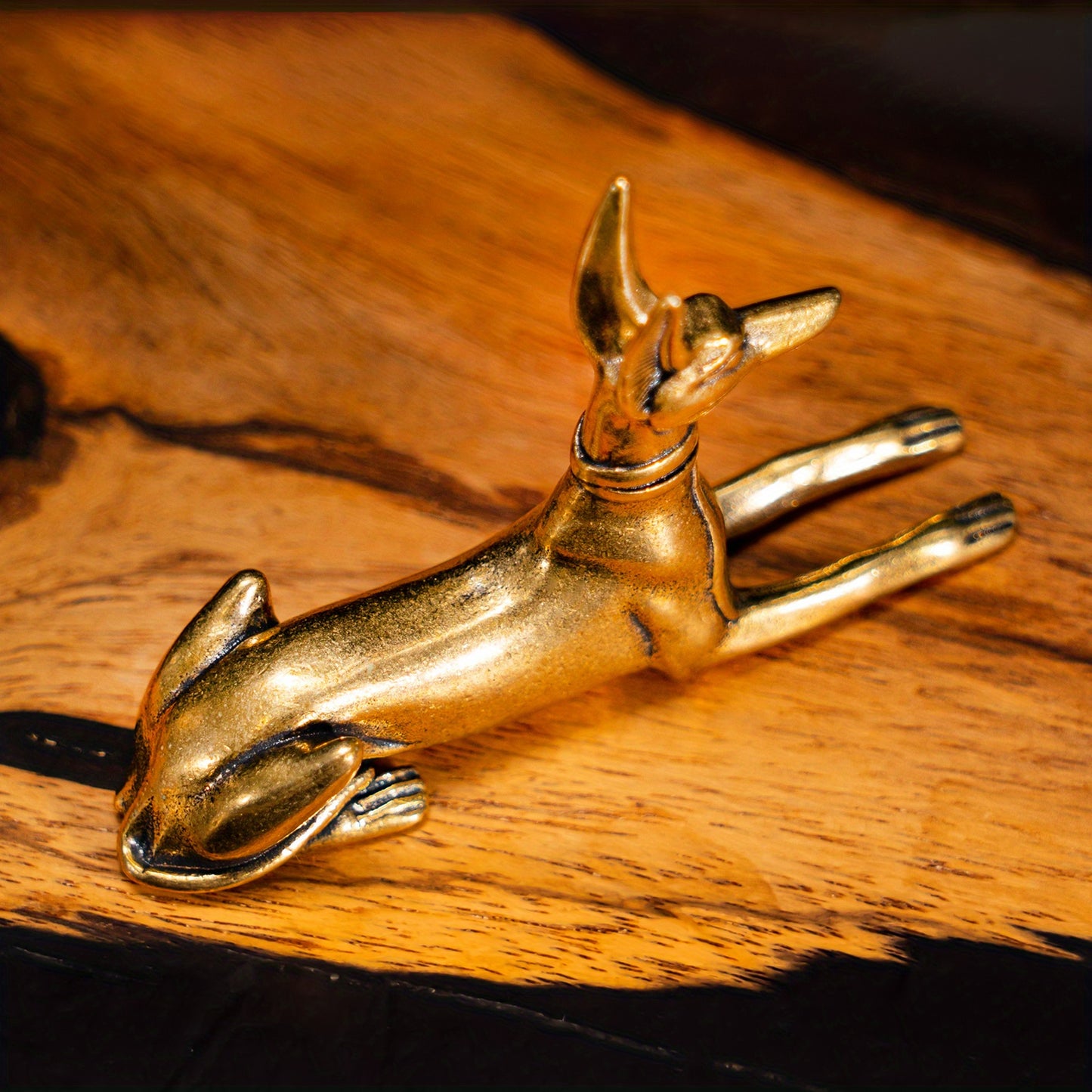 Chien Pharaon – Gardien de l’Occulte