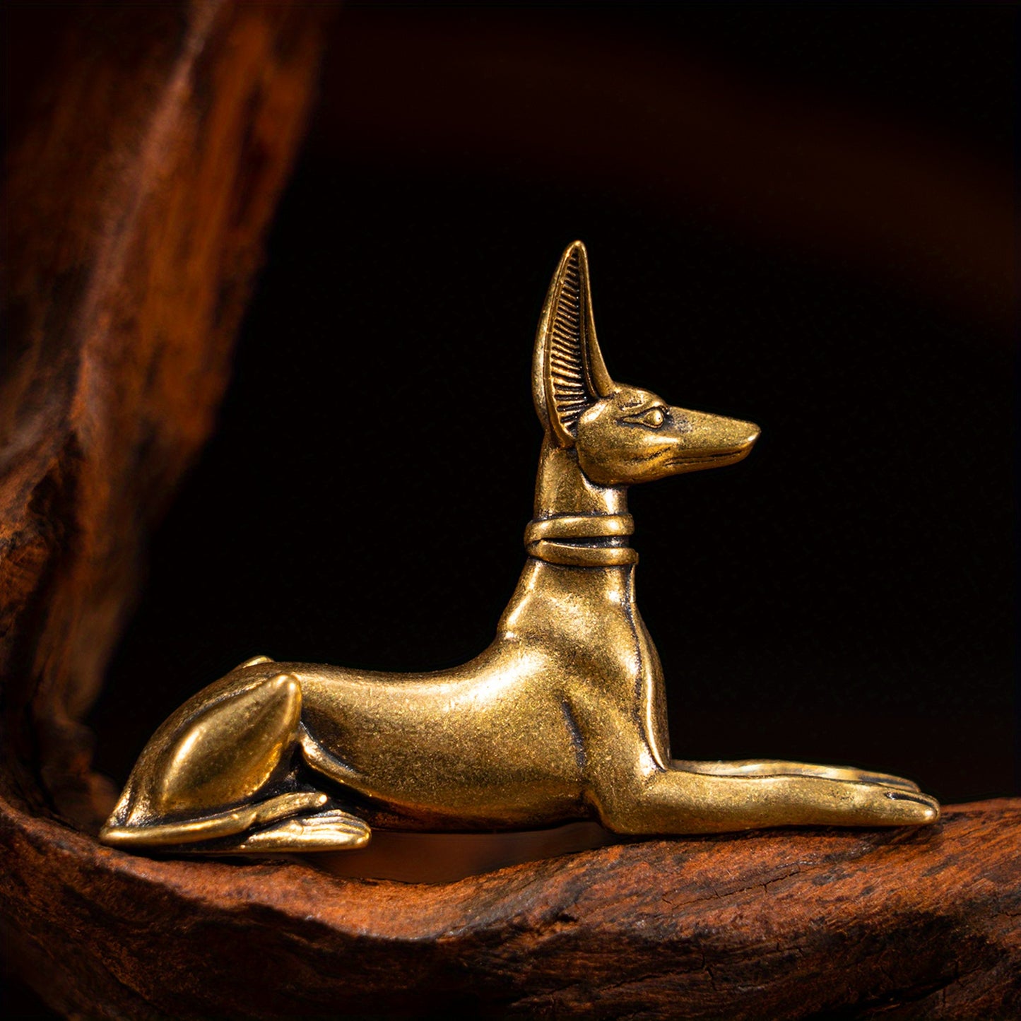Chien Pharaon – Gardien de l’Occulte